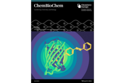 Cover ChemBioChem Cover ChemBioChem