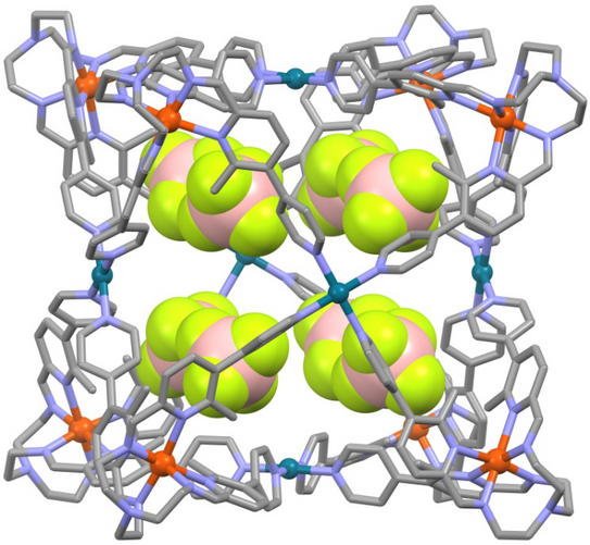 Highlight Publications 2019-10 Structure of a new heterobimetallic coordination cage as determined by single-crystal X-ray diffraction.