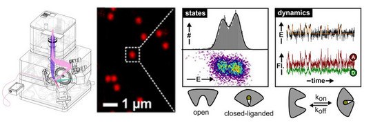Grafik illustration Grafik illustration