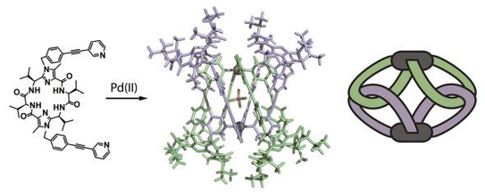 Highlight Publications 2020-03