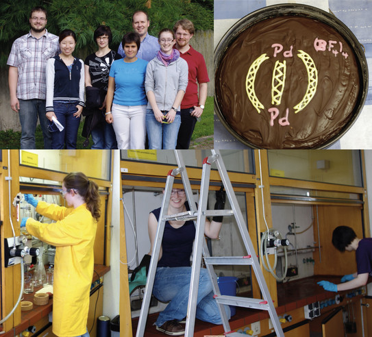 Various pictures from the Clever Lab from the past 13 years