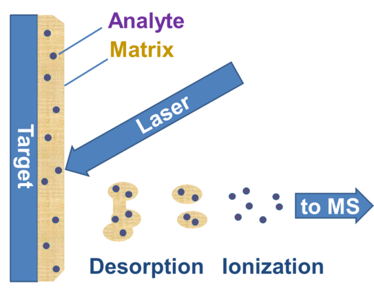 AS-SMALDI Matrix-assisted laser desorption/ionization system AS-SMALDI