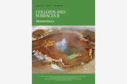 Cover Colloids And Surfaces B 2019/178 Cover Colloids And Surfaces B 2019/178