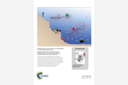 Cover Physical Chemistry Chemical Physics 2018, 20, 13159 Cover Physical Chemistry Chemical Physics 2018, 20. 13159