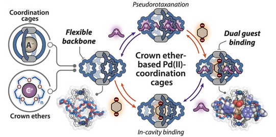 Grafikillustration Grafikillustration