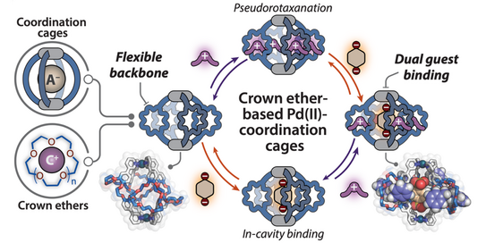Grafikillustration Grafikillustration