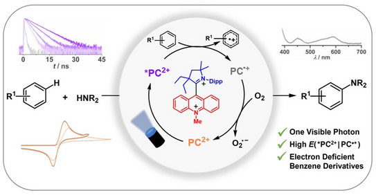 Grafikillustration Grafikillustration