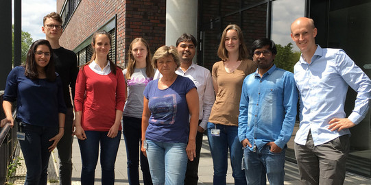 Linser-Group Linser-Group