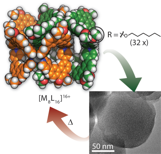 Highlight Publications 2018-02 X-ray structure and TEM image of an interlocked M8L16 container.