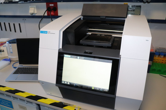 Picture of the real-time PCR device