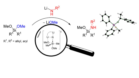 Schematische Illustration zur Veröffentlichung Schematische Illustration zur Veröffentlichung