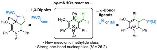 Graphic Illustration Graphic Illustration