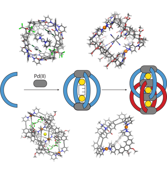Highlight Publications 2017-05