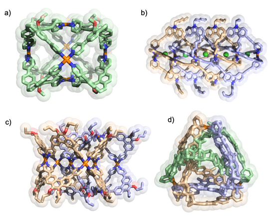 The figure shows structures of self-assemblies with reduced symmetry and intricate topology
