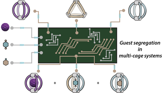 Graphic illustration Graphic illustration