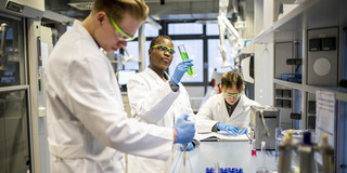 Studierende im Labor Studierende im Labor