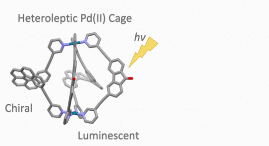 Animated picture of the chirality transfer in a host-guest system showing a CPL effect