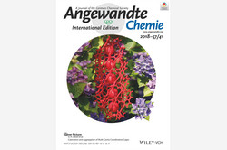 Front-Cover Angewandte Chemie 2018-57/41 Front-Cover Angewandte Chemie 2018-57/41