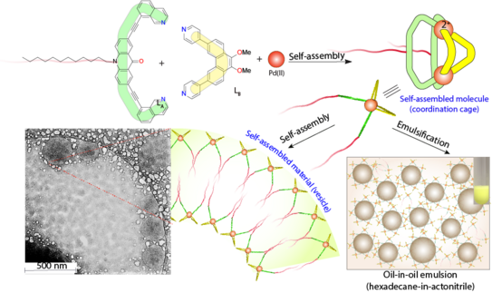 Highlight Publications 2018-10 Schematic representation of the assembly of an amphiphilic coordination cage-based emulsifier and cryo-TEM images of hollow spherical vesicles formed in acetonitril.