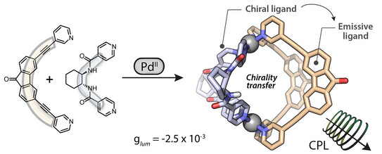 Picture of a heteroleptic Pd2A2B2 cage showing a CPL effect