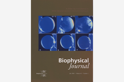 Cover Biophysical Journal Cover Biophysical Journal