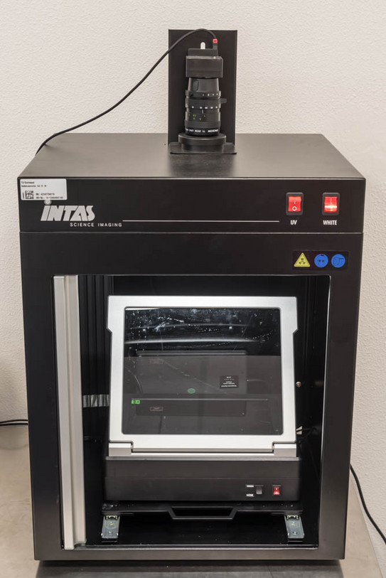 Gel Documentation Gel Documentation system