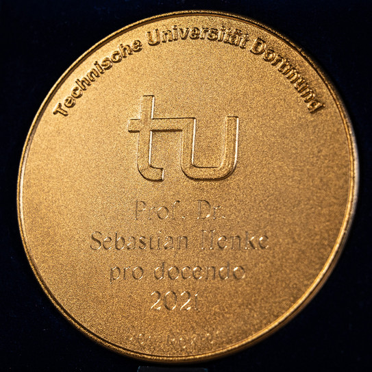 Medal Teaching Award Prof. Steffen Medal Teaching Award Prof. Steffen