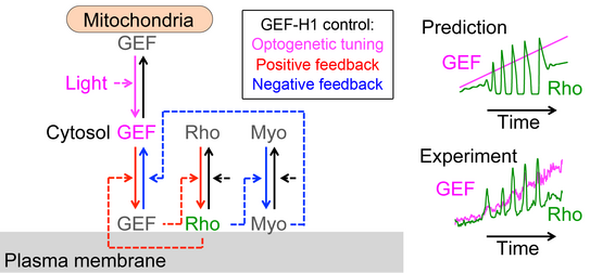 Grafik illustration Grafik illustration