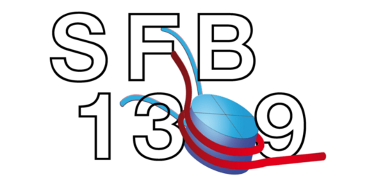 Logo SFB 1309 Logo SFB 1309