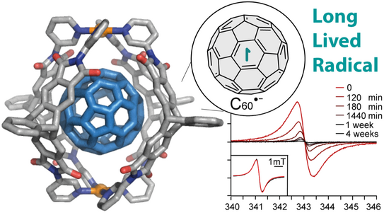 Picture of a fullerene bound inside a metal-based cage and plots of the radical lifetime