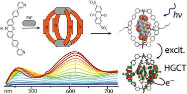 TOC figure showing a photoinduced host-to-guest electron transfer and the corresponding transient absorption spectra