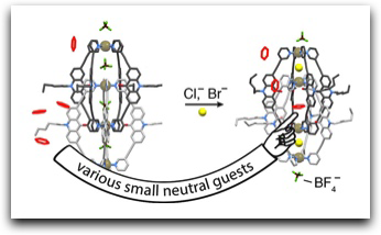 Highlight Publications 2015-03