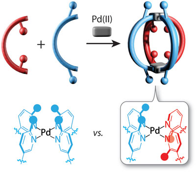 Highlight Publications 2018-06 Schematic representation of a rational design of heteroleptic coordination cages based on donor-site-engineering.