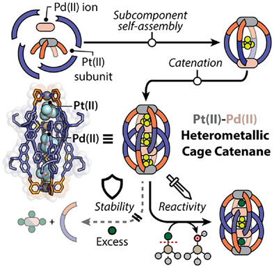 Formation of a heterometallic platinum- / palladium-based double cage catenane.