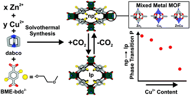 Schematic illustration for publication Schematic illustration for publication