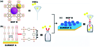 Schematic illustration for publication Schematic illustration for publication