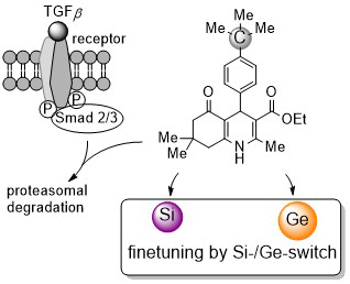 Schematische Illustration zur Veröffentlichung Schematische Illustration zur Veröffentlichung