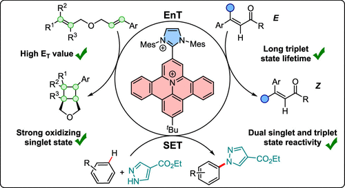 Graphic illustration Graphic illustration