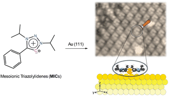 Grafic illustration Grafic illustration