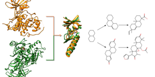 Grafikillustration Grafikillustration