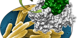 Grafikillustration Grafikillustration