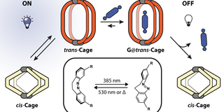 TOC figure of light-switchable cages