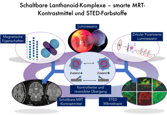 Übersicht über den Forschungsschwerpunkt der Kreidt Gruppe