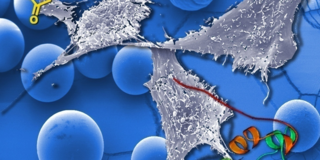 Membrangrafik Grafische Darstellung chemischer Membranprozesse