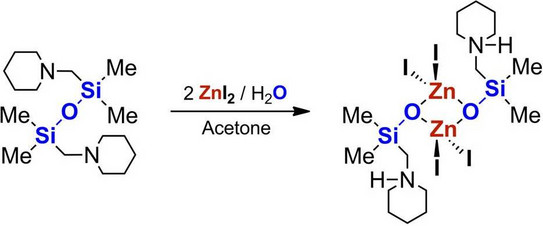 Schematische Illustration zur Veröffentlichung Schematische Illustration zur Veröffentlichung