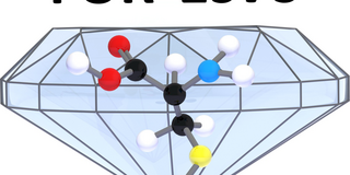 Logo FOR1979 Logo FOR1979