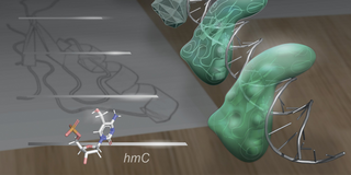 Cover Nucleic Acid Research